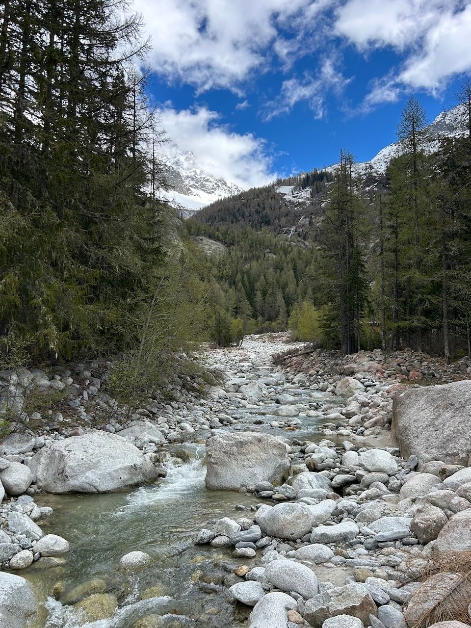 Argentiere hike  24Apr2025 - 1.jpeg