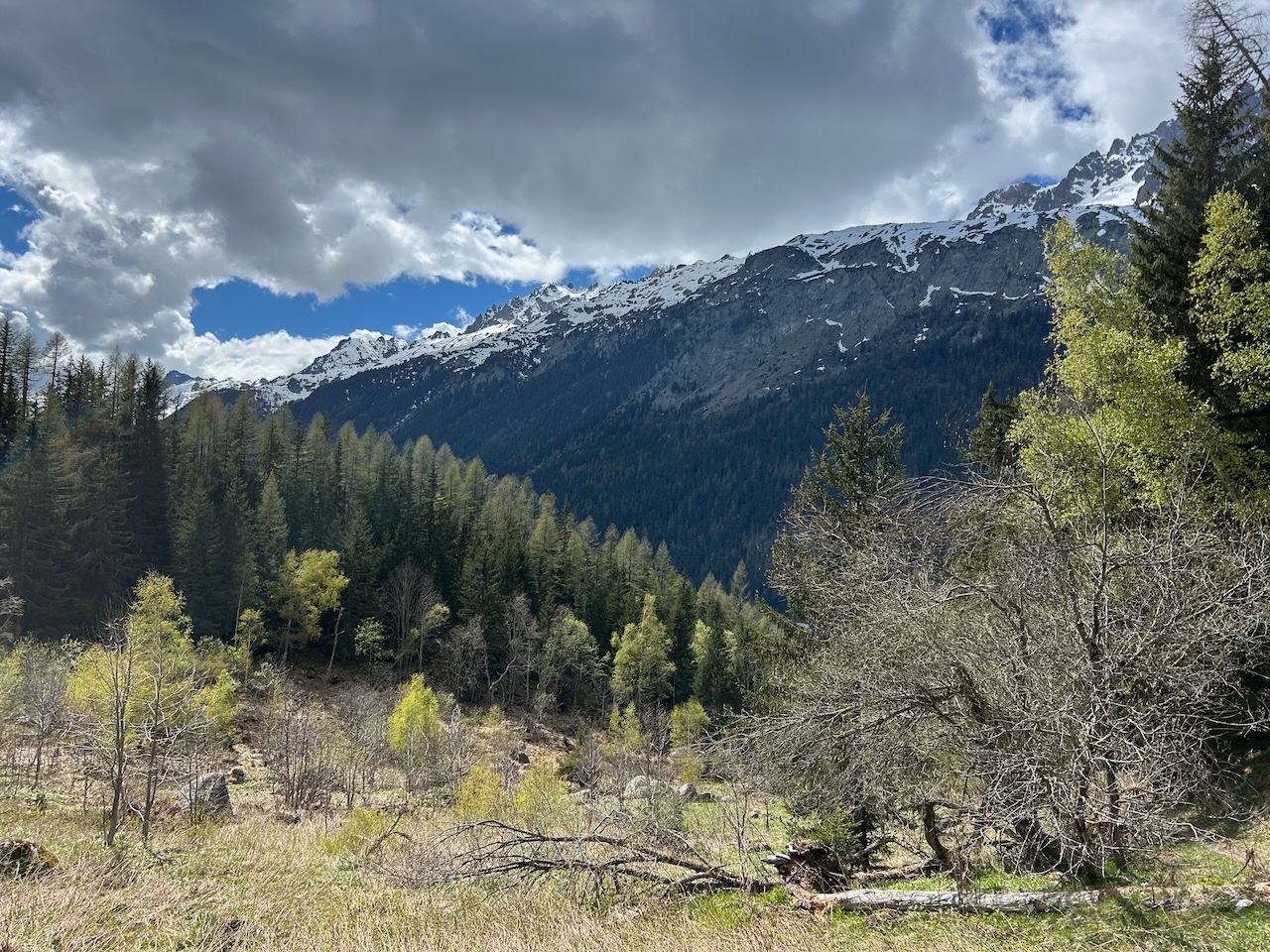 Argentiere hike  24Apr2025 - 2.jpeg