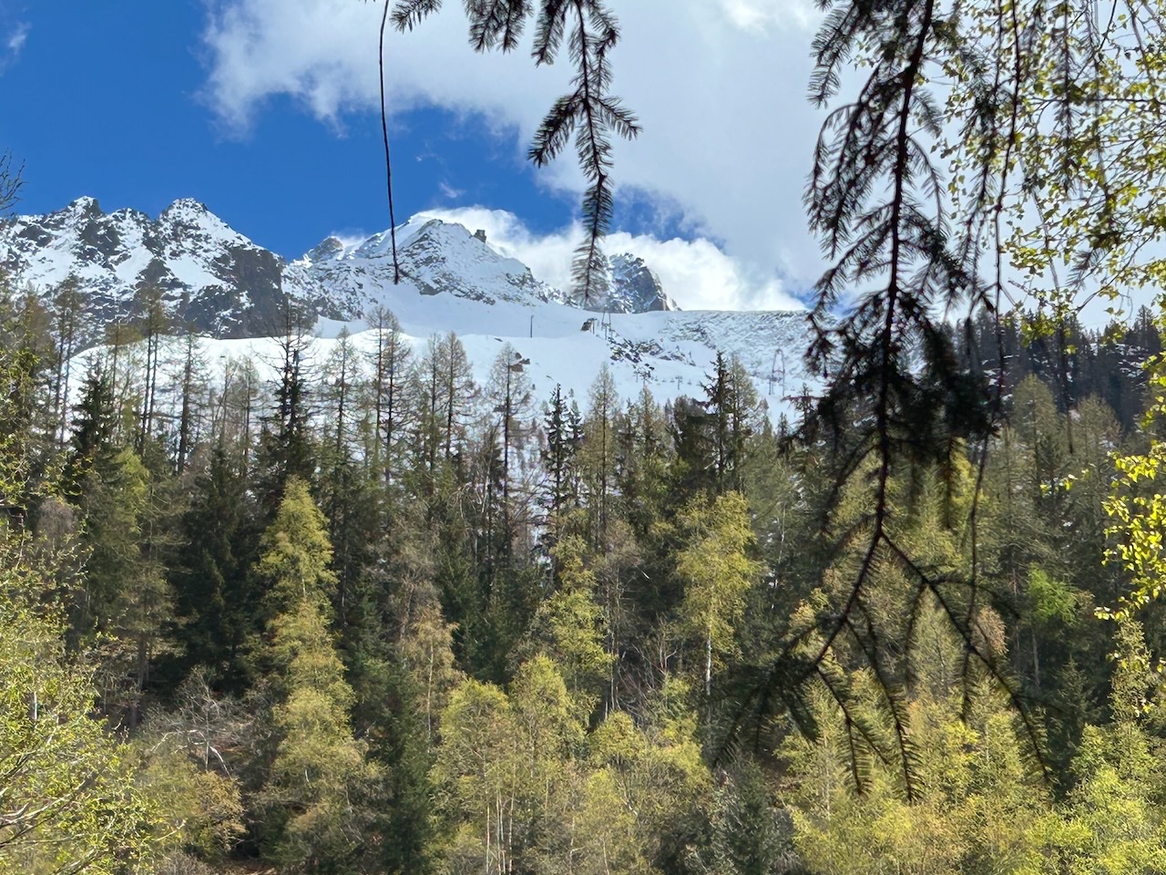 Argentiere hike  24Apr2025 - 3.jpeg