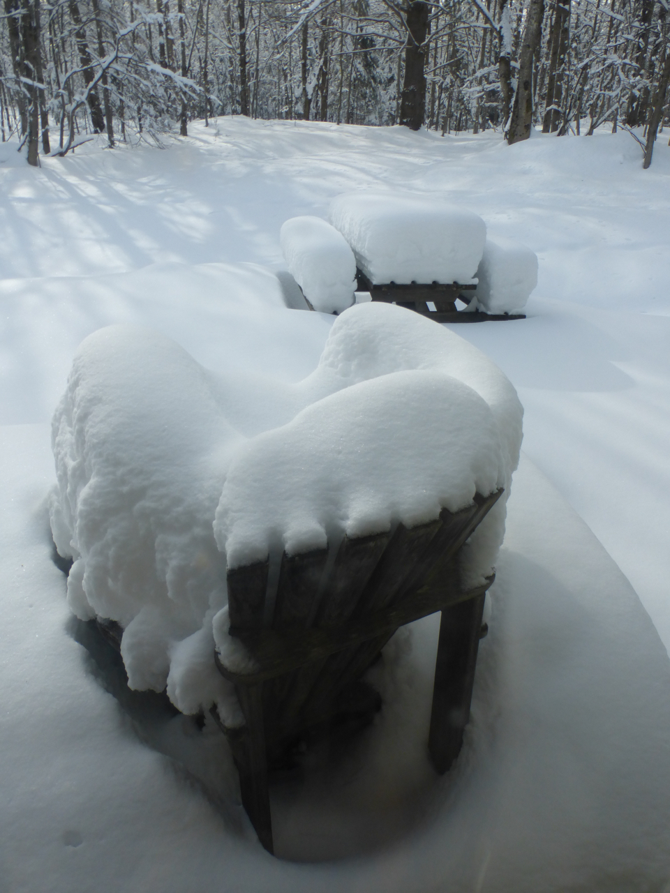 Chair before Twigfest.jpg