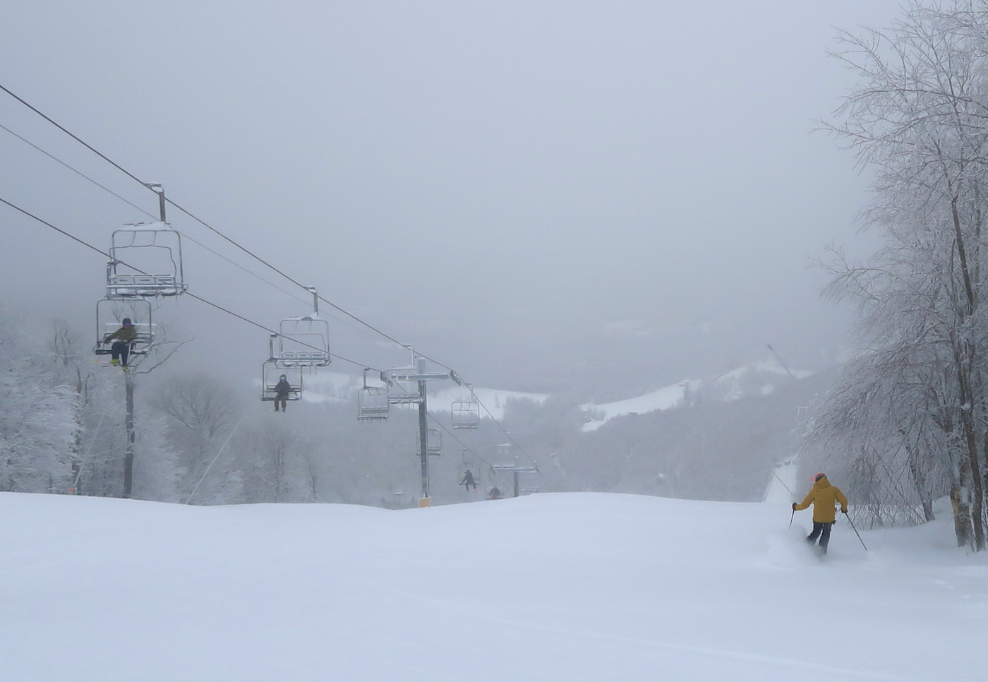 first-tracks-on-face