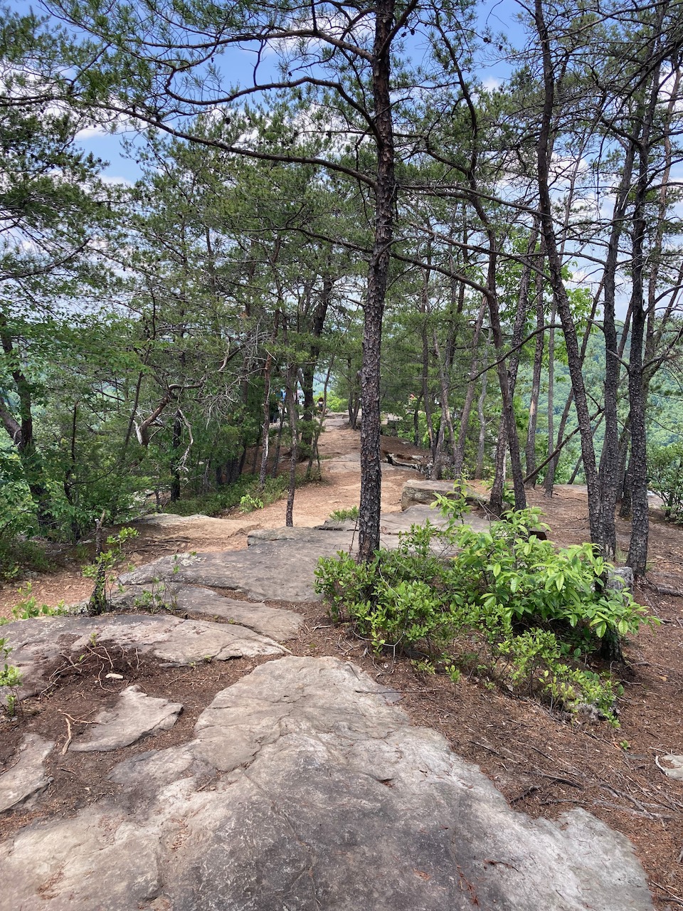 New River Bridge Long Point May2023 - 2.jpeg