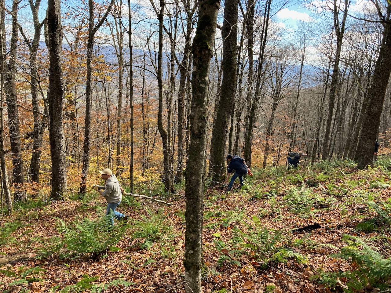 Plattekill Work Day 23Oct2021 - 4.jpeg