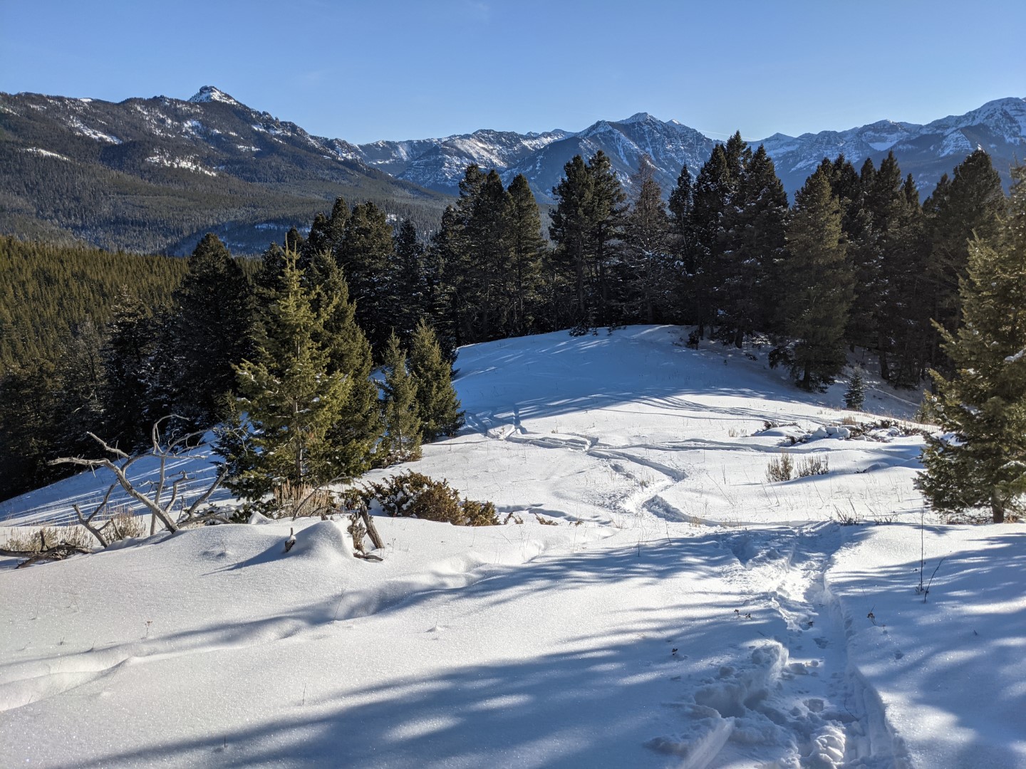 PXL_20210110_215750968 (Large).jpg