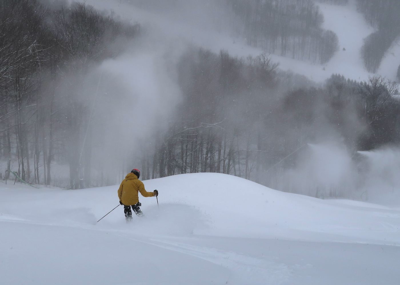 scottski-whales - 1.jpeg