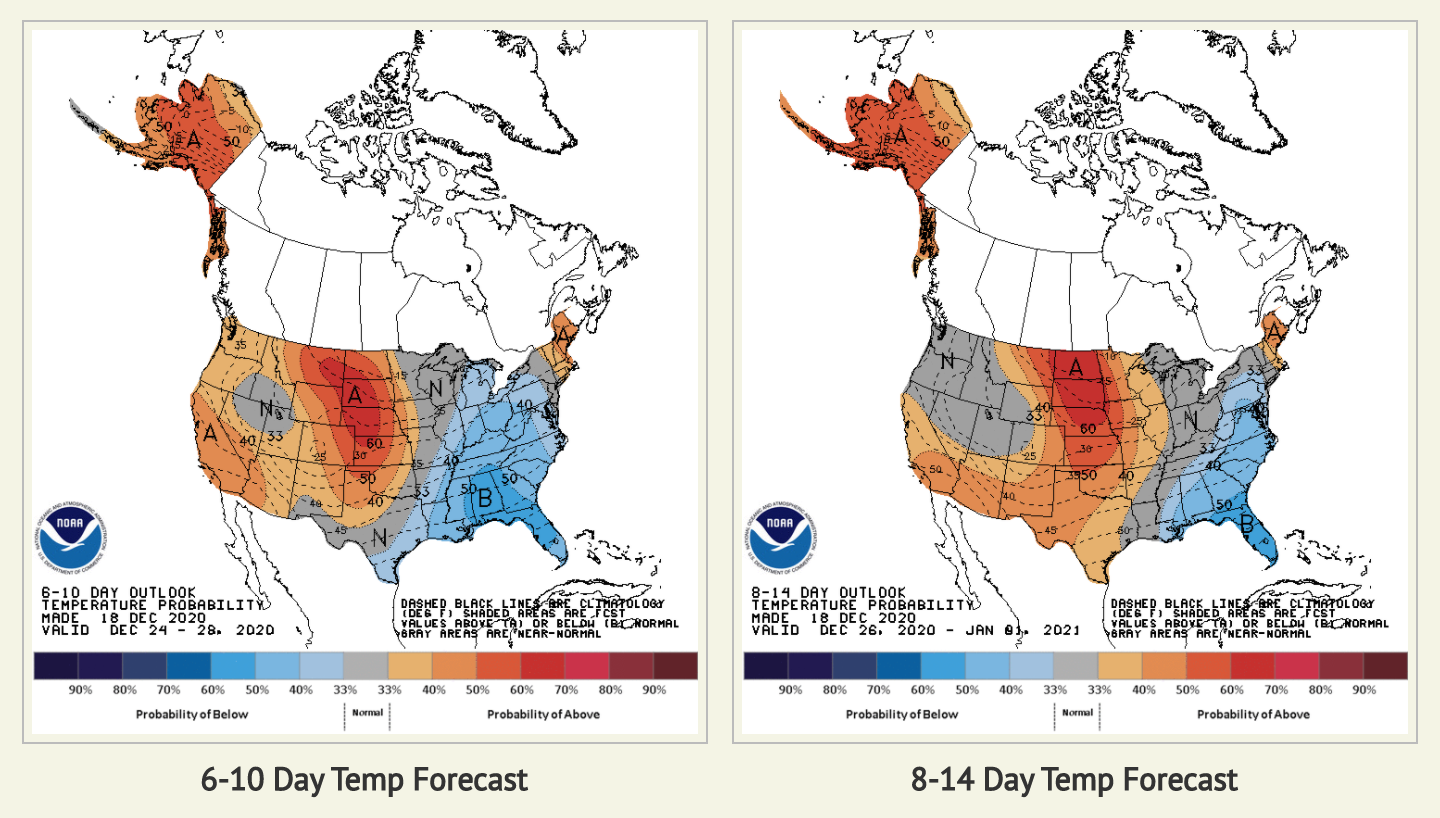 Screen Shot 2020-12-19 at 4.05.05 AM.png