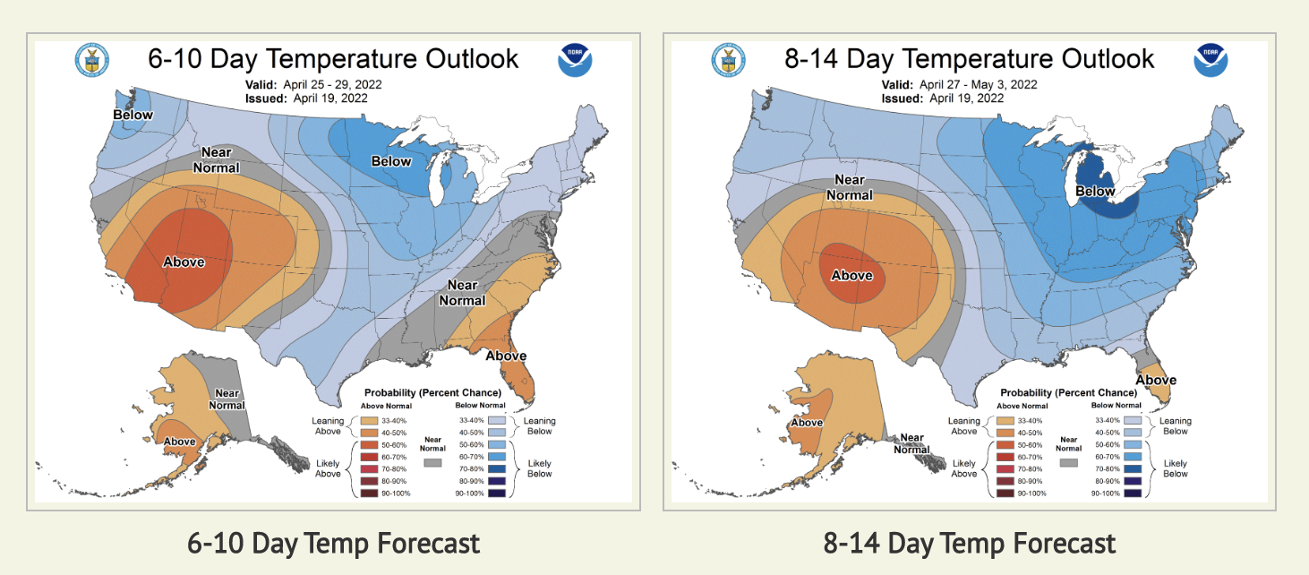 Screen Shot 2022-04-19 at 9.02.47 PM.png
