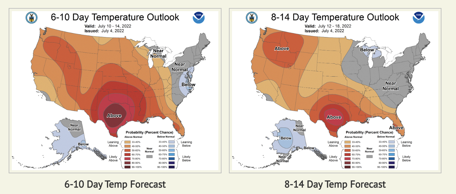 Screen Shot 2022-07-05 at 12.47.04 PM.png