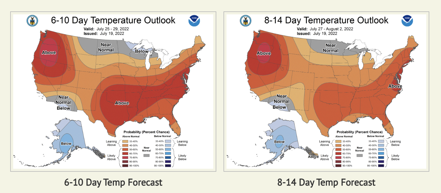 Screen Shot 2022-07-19 at 4.15.48 PM.png