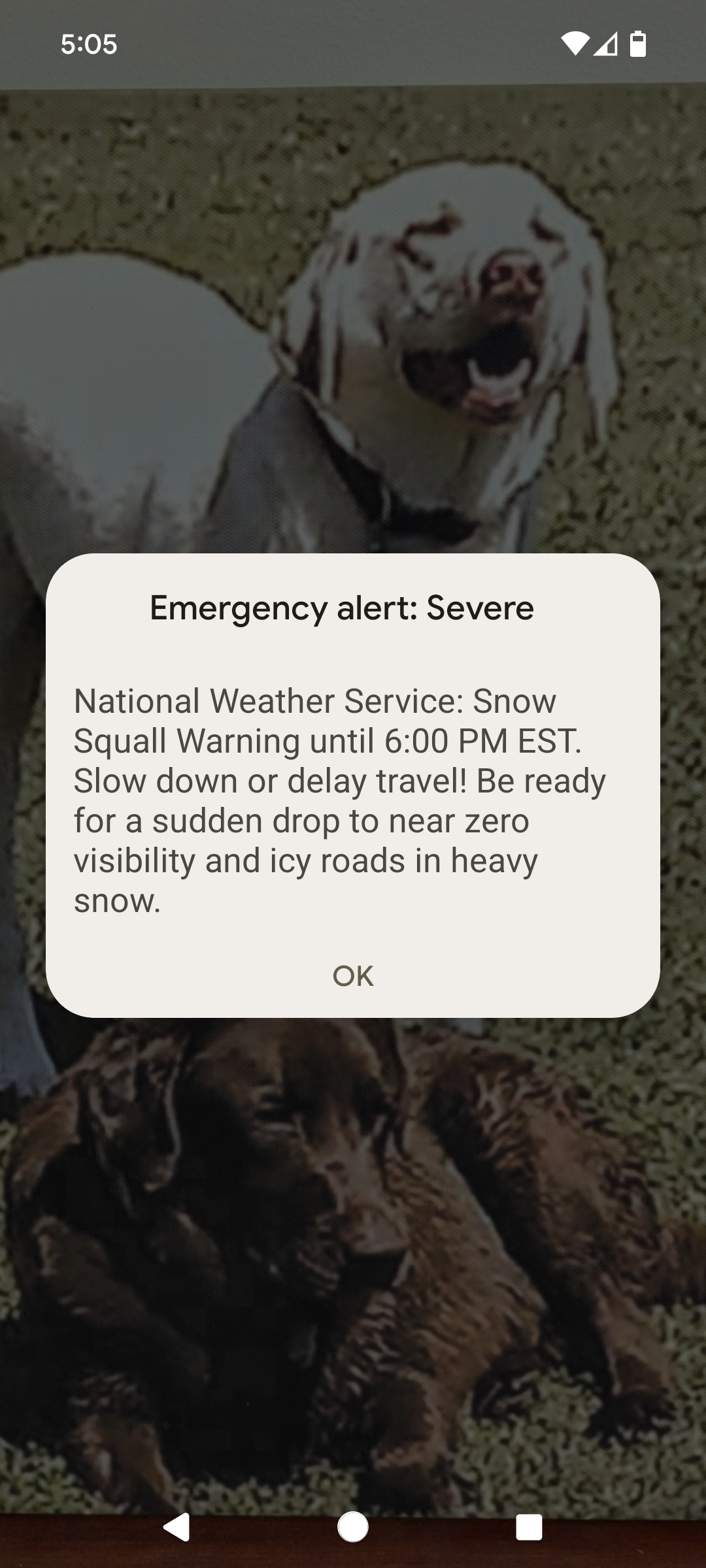 Screenshot_20250129-170508