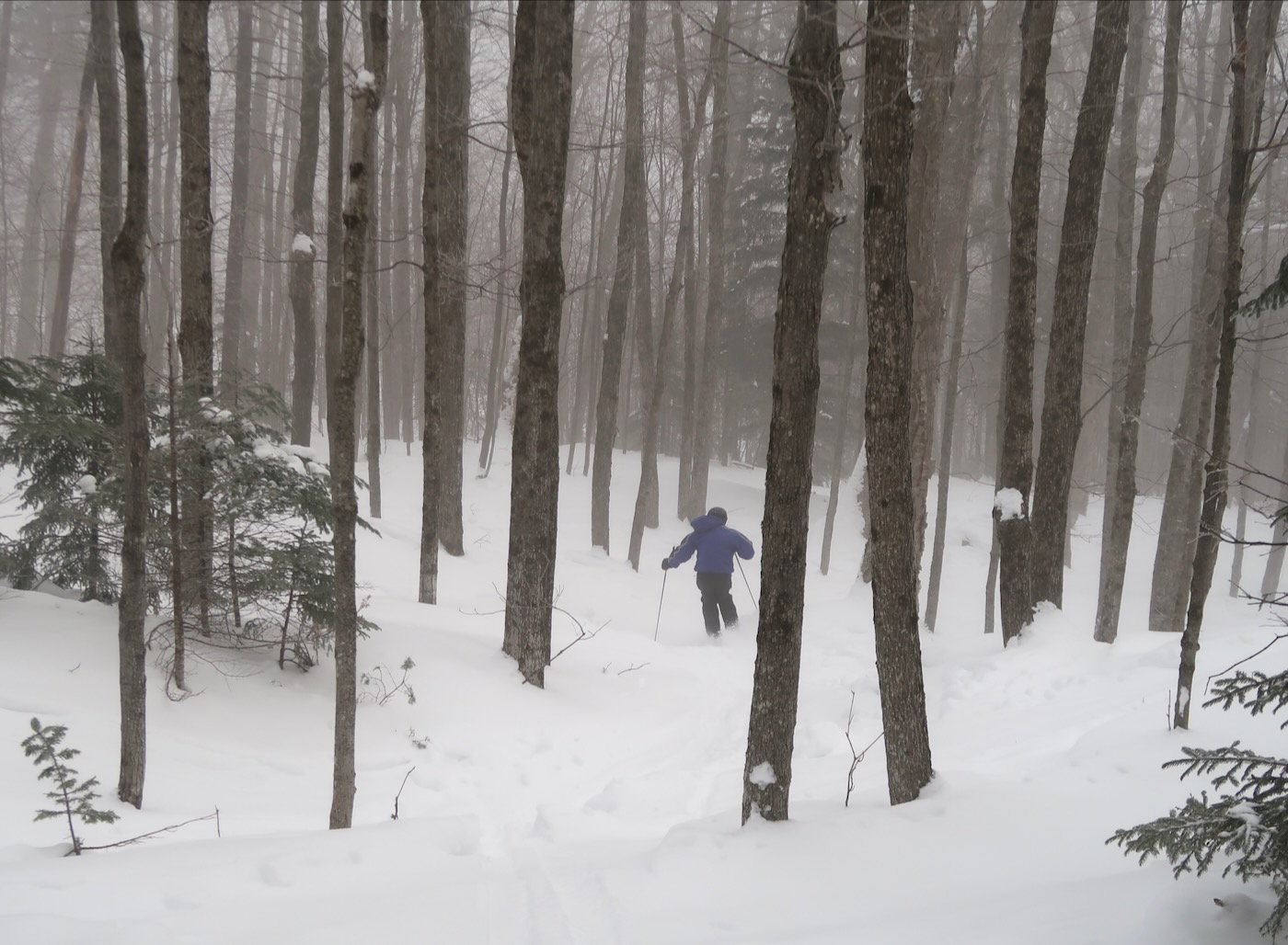 sigg-at-gore-2-2-25 - 1.jpeg