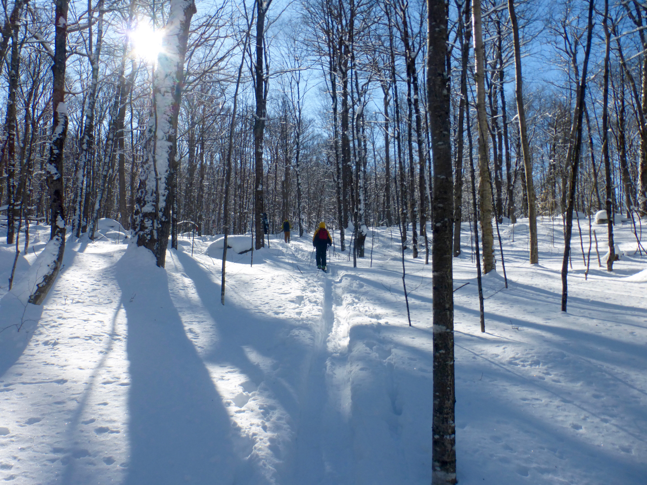 Sun is up on the up.jpg