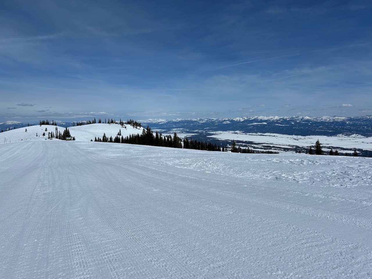 Tamarack 11Mar2025 sunny - 6.jpeg