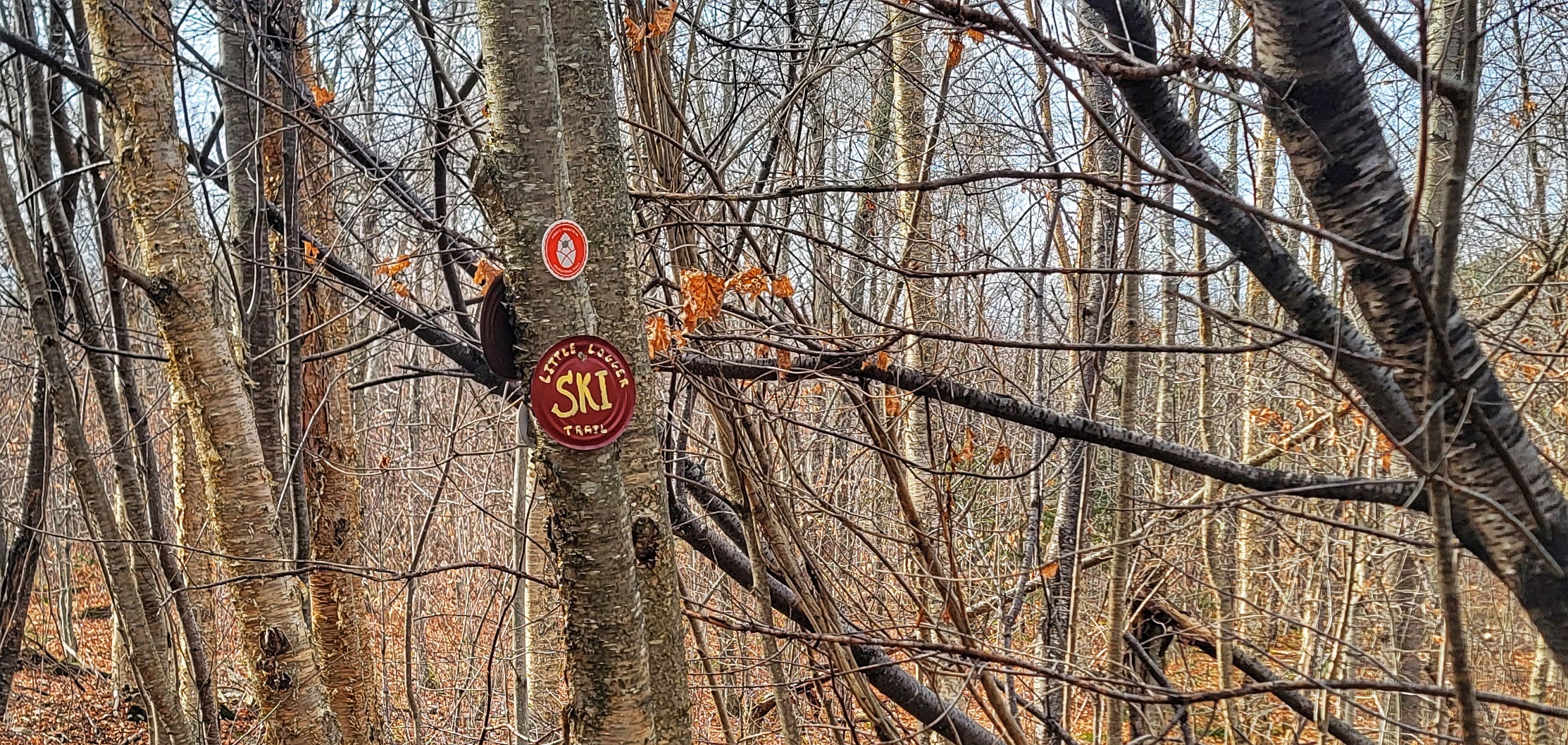 tupper-trail-marker.