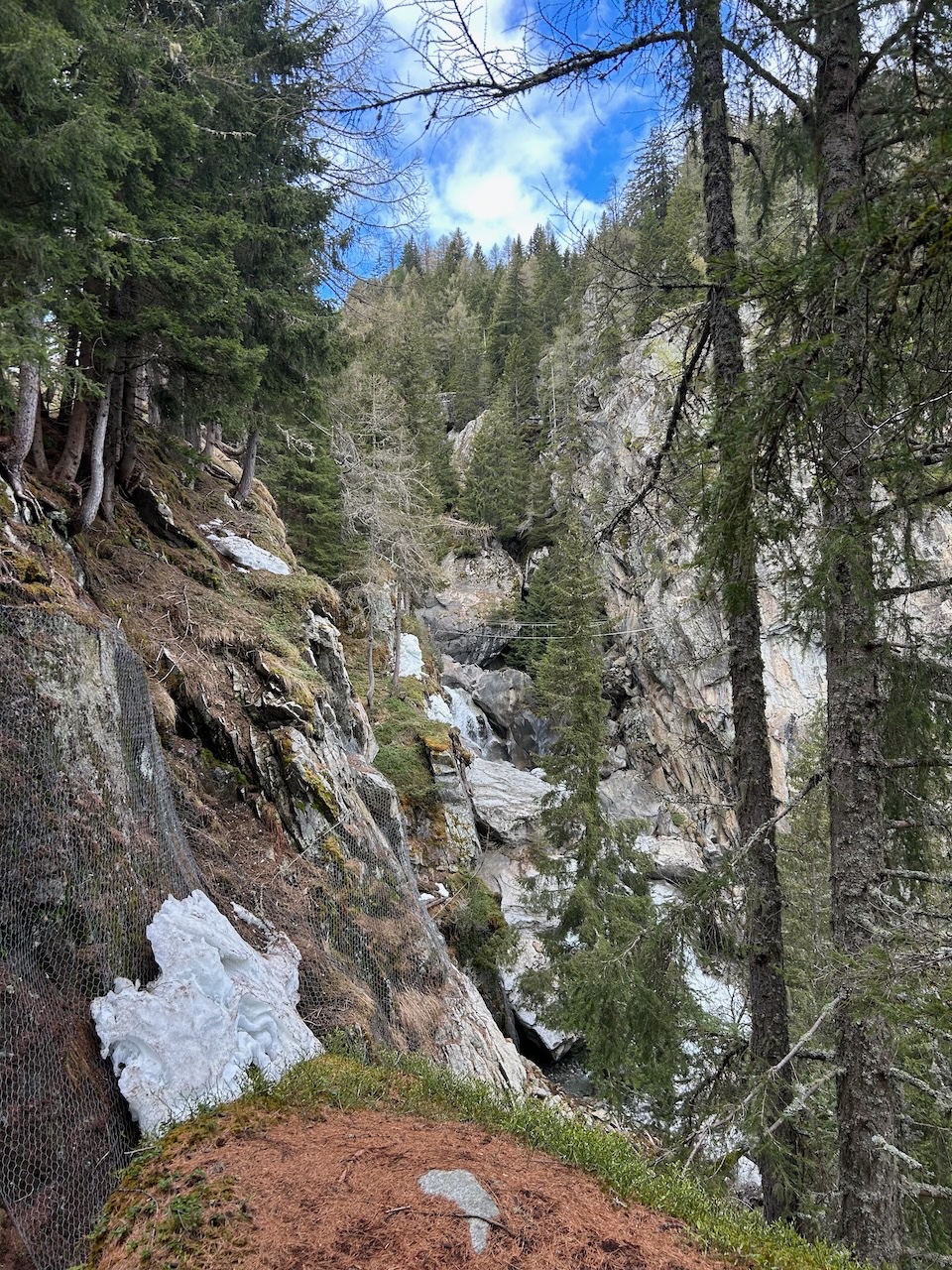 waterfall hike  24Apr2025 - 4.jpeg