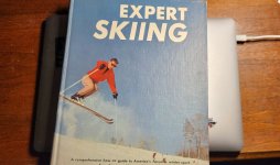expert-skiing.jpeg