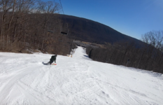 Screen Shot 2025-03-13 at 4.15.06 PM.png