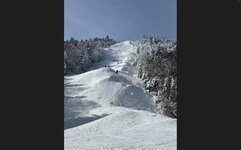 Rumor Whales via HW.jpg